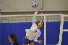 Wheaton Women's Volleyball  Wheaton Women's Volleyball vs Bridgewater State University. : Wheaton, Volleyball, BSU, Bridgewater State College